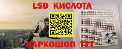 амф Кудрово